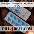 Kamagra 100Mg Oral Jelly How To Use new15